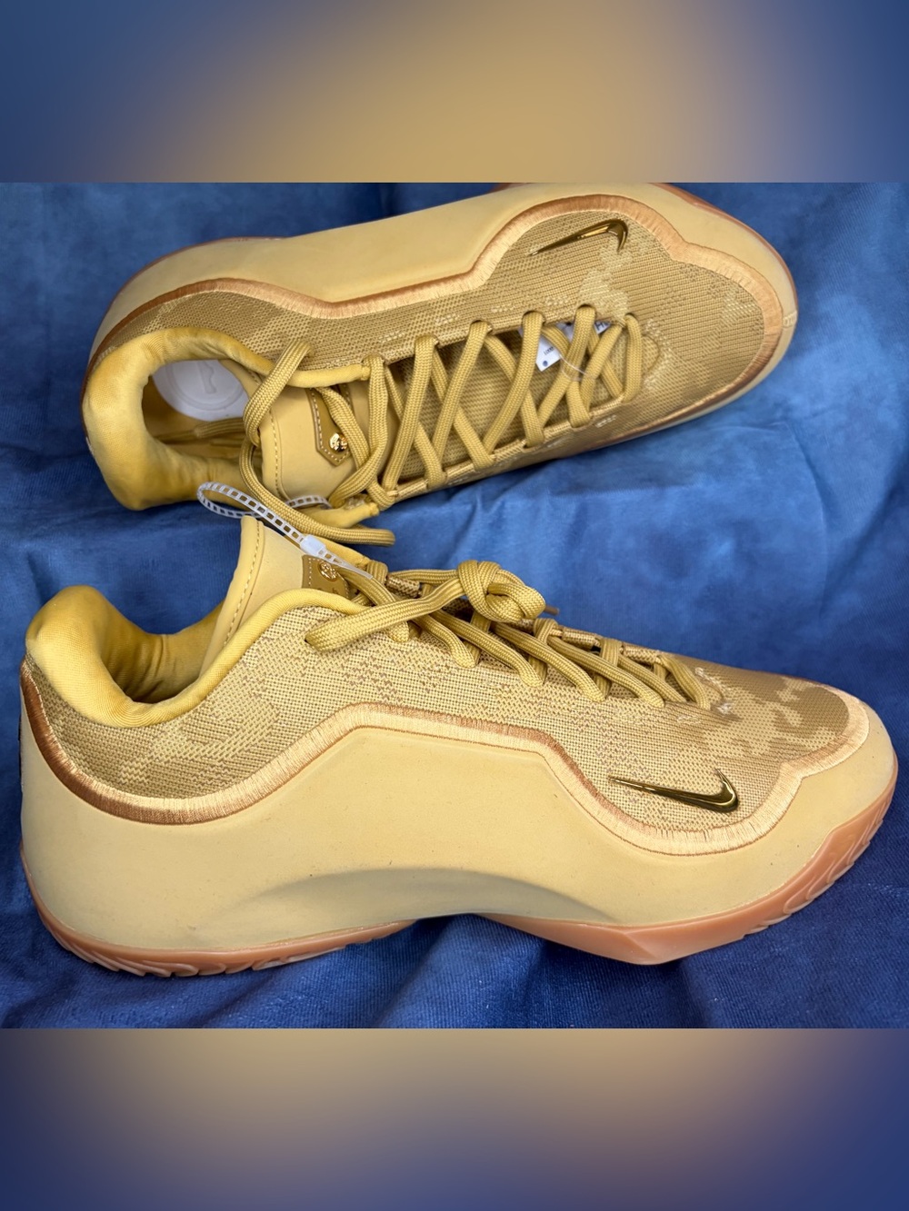 Nike LeBron XXIII